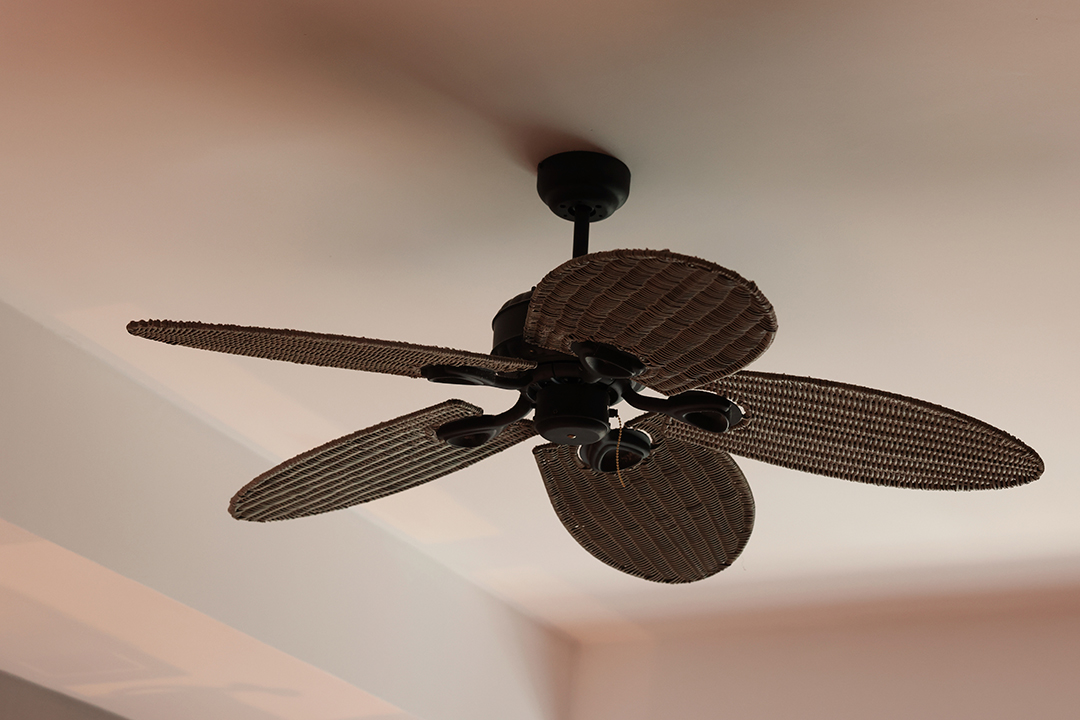 Ceiling Fans, Switches & Outlets